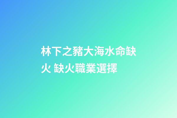 林下之豬大海水命缺火 缺火職業選擇